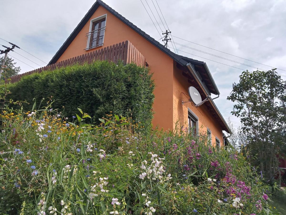 Ferienhaus Hilde Steinwiesen エクステリア 写真