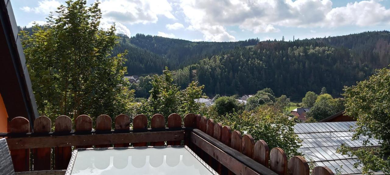 Ferienhaus Hilde Steinwiesen エクステリア 写真